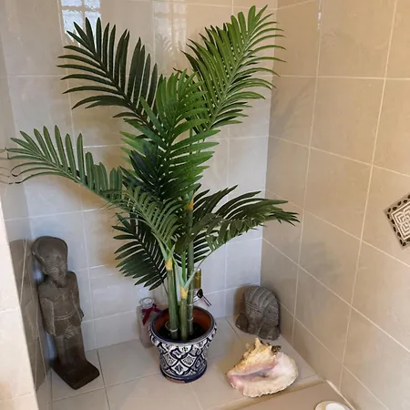 Bastide Provencale Raphael Valescure Saint-Raphael (Var)